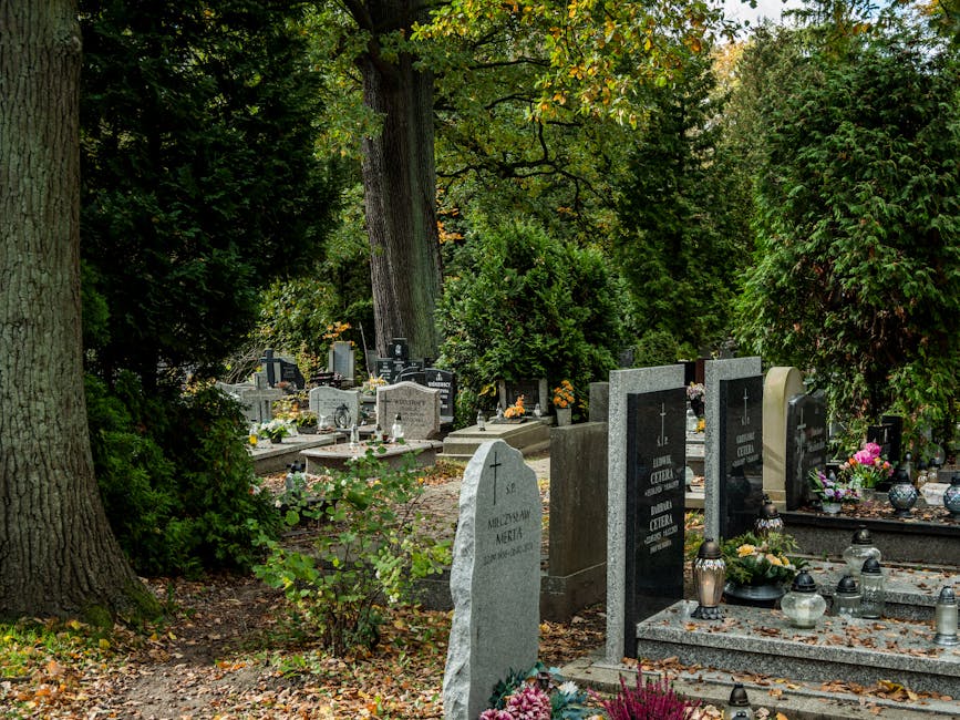 A serene cemetery scene featuring several gravestones of varying shapes and sizes, surrounded by lush green trees and foliage. The gravestones are made of polished grey and black granite, with some di