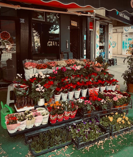 A vibrant outdoor display of fresh flowers arranged in white and red buckets, featuring a variety of blooms such as pink tulips, red roses, white chrysanthemums, and purple pansies. The flowers are ar